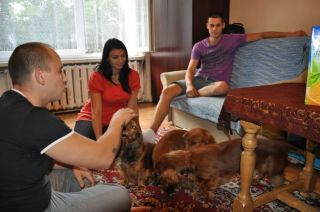 NADIM jamniki Kollapsar